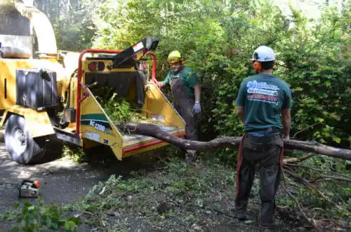 tree services Mableton